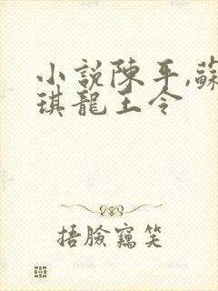 小说陈平,苏雨琪龙王令