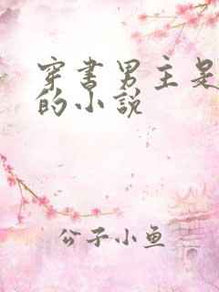 穿书男主是反派的小说