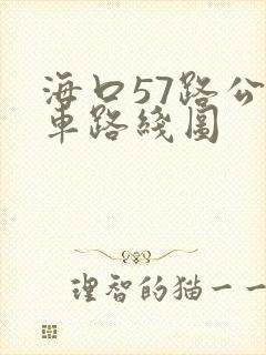 海口57路公交车路线图