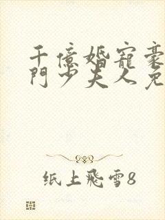 千亿婚宠豪娶豪门少夫人免费阅读