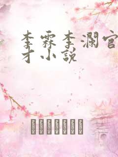 李霖李澜官场奇才小说