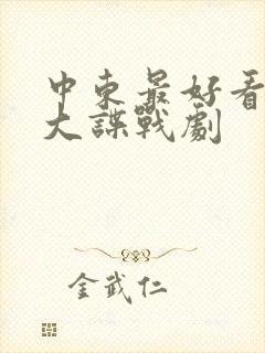 中东最好看的十大谍战剧