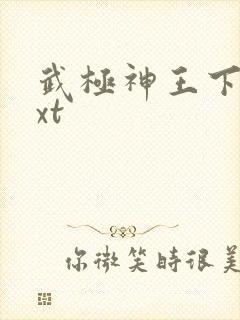 武极神王下载txt