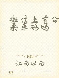 微信上有公交车乘车码吗