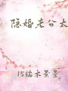 隐婚老公太神秘