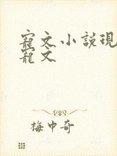 宠文小说现代甜宠文