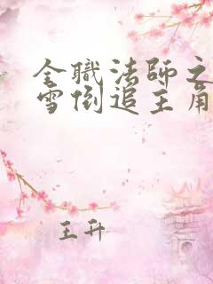 全职法师之穆宁雪倒追主角的小说