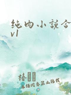 纯肉小说合集1v1