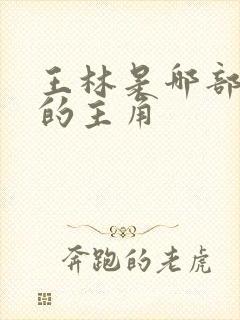 王林是哪部小说的主角