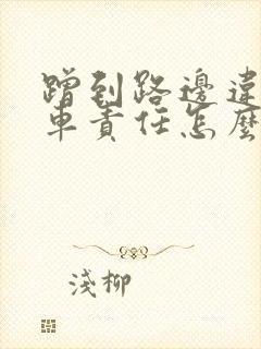 蹭到路边违停的车责任怎么划分