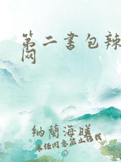 第二书包辣文鲜网