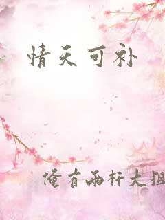 情天可补