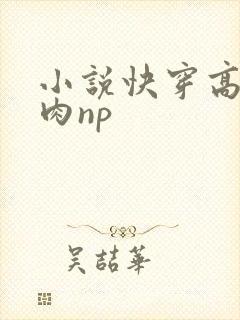 小说快穿高h纯肉np