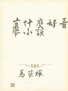 有什么好看的科举小说