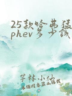 25款哈弗猛龙phev多少钱