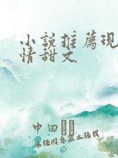 小说推荐现代言情甜文