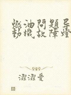 燃油问题导致发动机故障灯亮怎么办 燃油问题导致发动机故障灯亮怎么办
