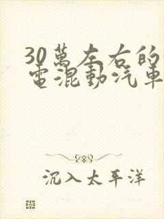 30万左右的油电混动汽车