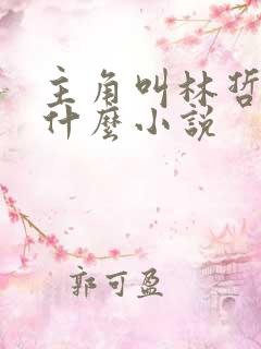 主角叫林哲的是什么小说