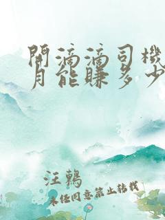 开滴滴司机一个月能赚多少钱