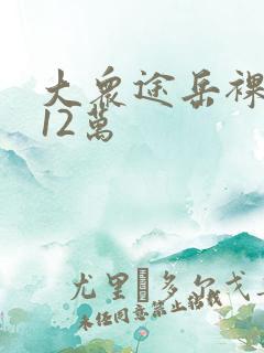 大众途岳裸车价12万