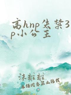 高hnp失禁3p小公主