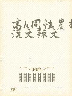 高h同性农村壮汉文辣文