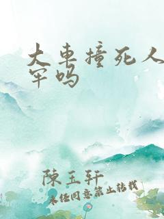 大车撞死人要坐牢吗