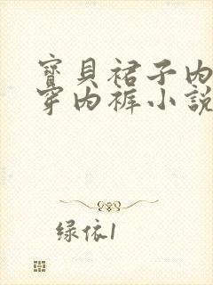 宝贝裙子内不许穿内裤小说