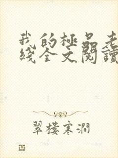 我的极品老婆在线全文阅读