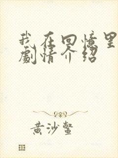 我在回忆里等你剧情介绍