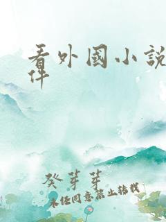 看外国小说的软件