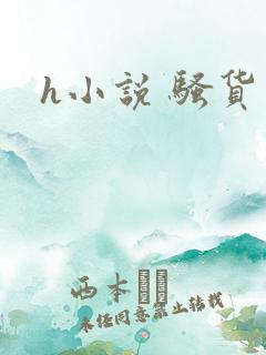 h小说 骚货