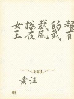 女总裁的超级兵王夜风武有几个女人
