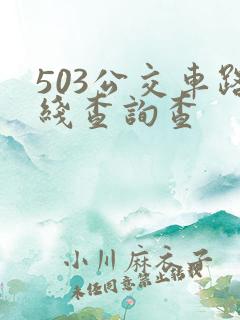 503公交车路线查询查