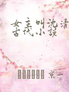 女主叫沈清欢的古代小说