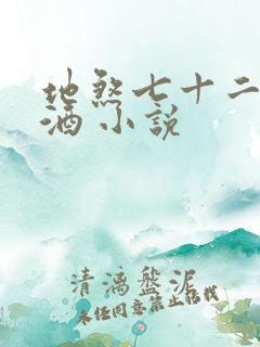 地煞七十二变祭酒 小说