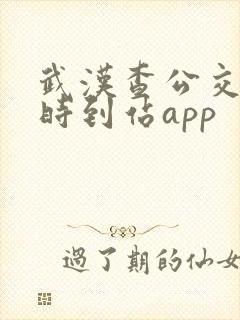 武汉查公交车实时到站app