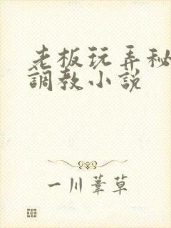 老板玩弄秘书h调教小说