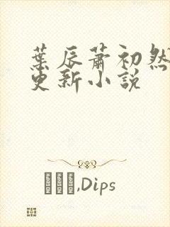 叶辰萧初然最新更新小说