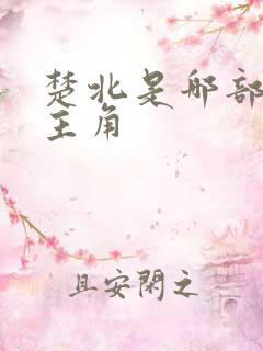 楚北是哪部小说主角