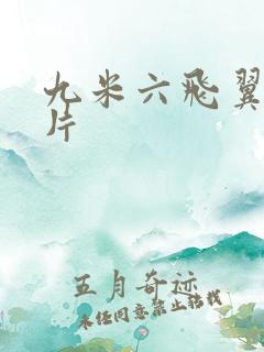 九米六飞翼车图片