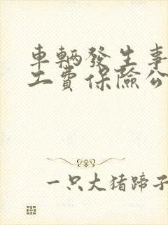车辆发生事故误工费保险公司赔偿吗