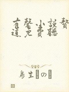 有声小说赘婿当道免费听 有声小说赘婿当道免费听