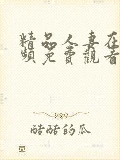 精品人妻在线视频免费观看