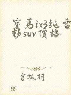 宝马ix3纯电动suv价格