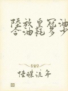 陆放皇冠油电混合油耗多少