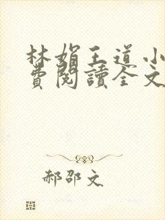 林娟王道小说免费阅读全文 林娟王道小说免费阅读全文