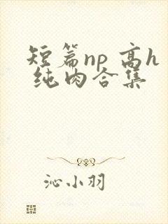 短篇np 高h 纯肉合集 短篇np 高h 纯肉合集