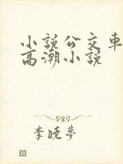 小说公交车被上高潮小说